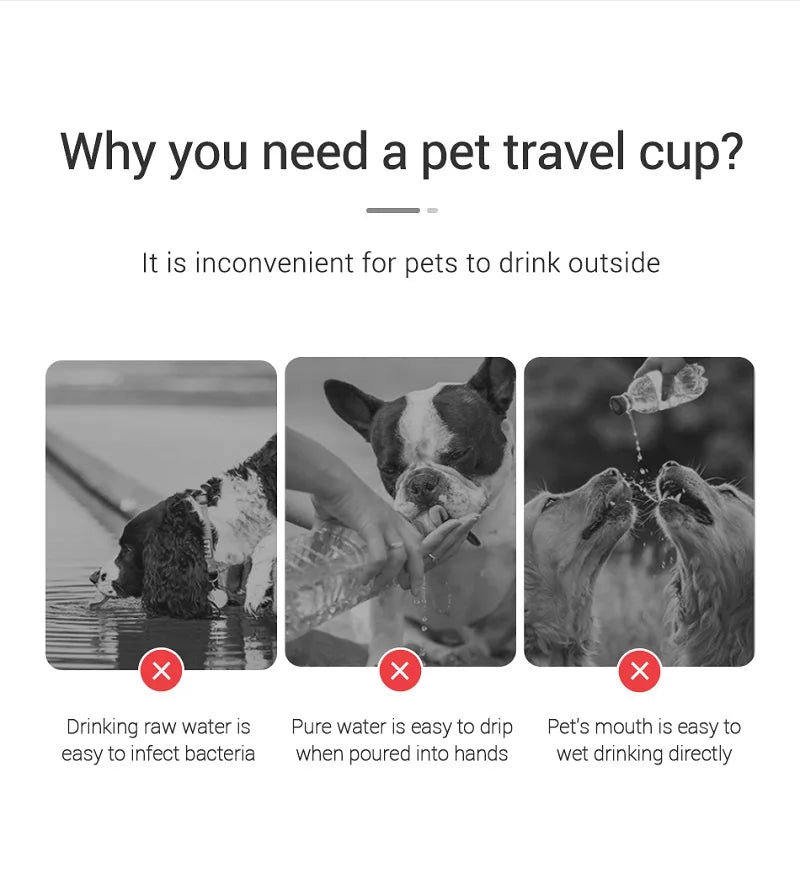 Spry Portable Water Bottle — On-the-Go Hydration for Dogs & Cats