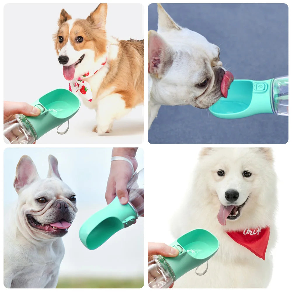Spry Portable Water Bottle — On-the-Go Hydration for Dogs & Cats