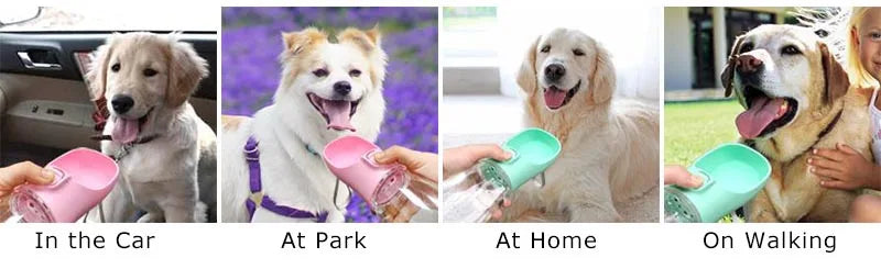 Spry Portable Water Bottle — On-the-Go Hydration for Dogs & Cats
