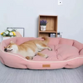 Spry Orthopedic Bed — Extra-Supportive Comfort for Every Dog